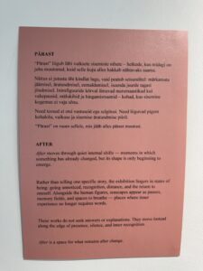 img 0746