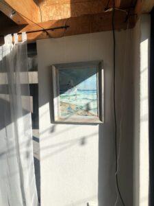 img 7231
